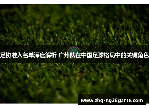 足协准入名单深度解析 广州队在中国足球格局中的关键角色