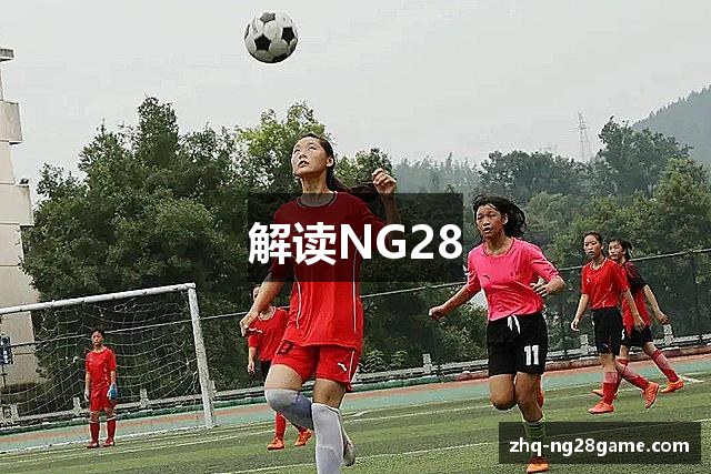 解读NG28